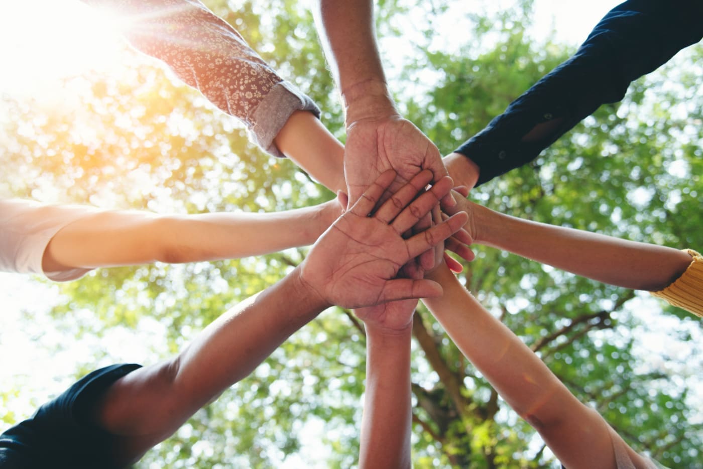 A below view of several people placing their hands on top of each other with green tree above them.
